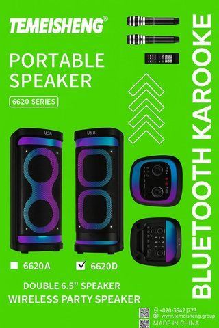 Акустична переносна колонка TEMESHENG 6620D 200Вт 2x6,5" 65х30х30см (1) TEM 6620D фото