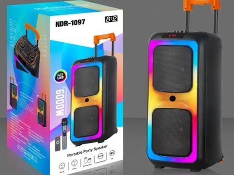 Акустична переносна колонка NDR-1097/6434 2x8" TWS/FM/USB/TF/BT/LED/REC/ДК/MIC (1) 6434 NDR 1097 фото