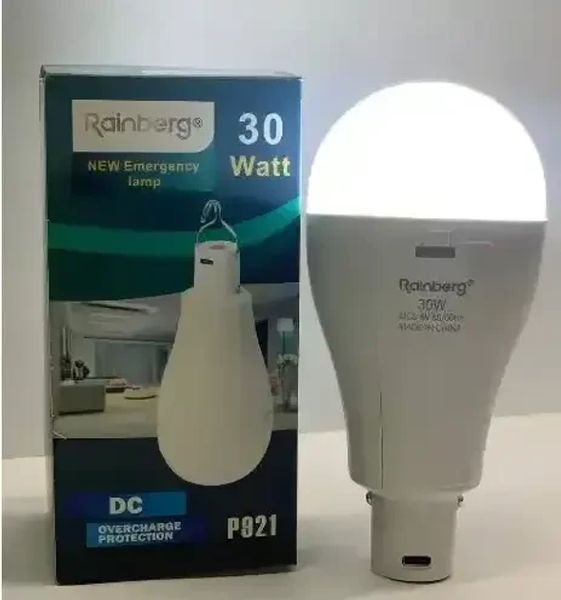 Лампа 30w Rainberg P921 підвісна, з підзарядкою від Micro USB, 3 режими роботи, 18650*2 (100) RB P 921 фото