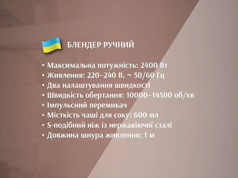 Блендер ручний з чашею 2400Вт 2шв. BITEK BT-330/ 6360 (20) 6360 BT 330 фото